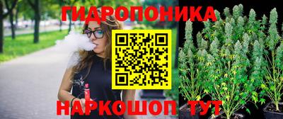 МДПВ Кандалакша