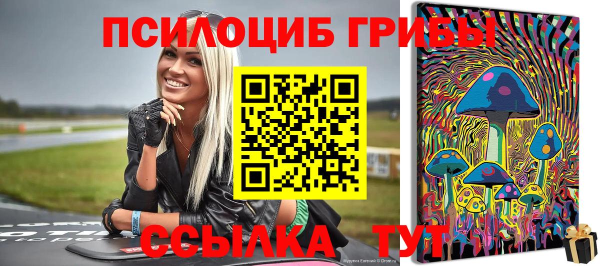 Псилоцибиновые грибы GOLDEN TEACHER Черкесск